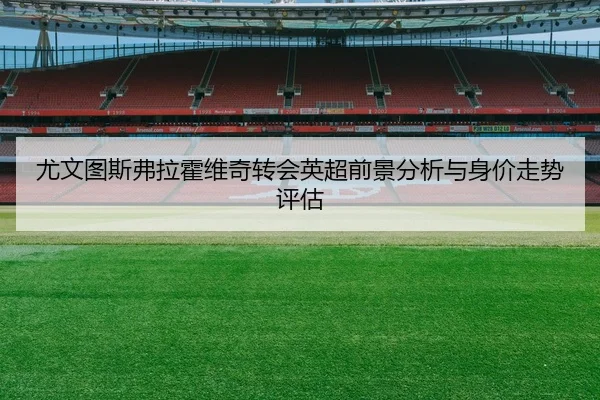 尤文图斯弗拉霍维奇转会英超前景分析与身价走势评估